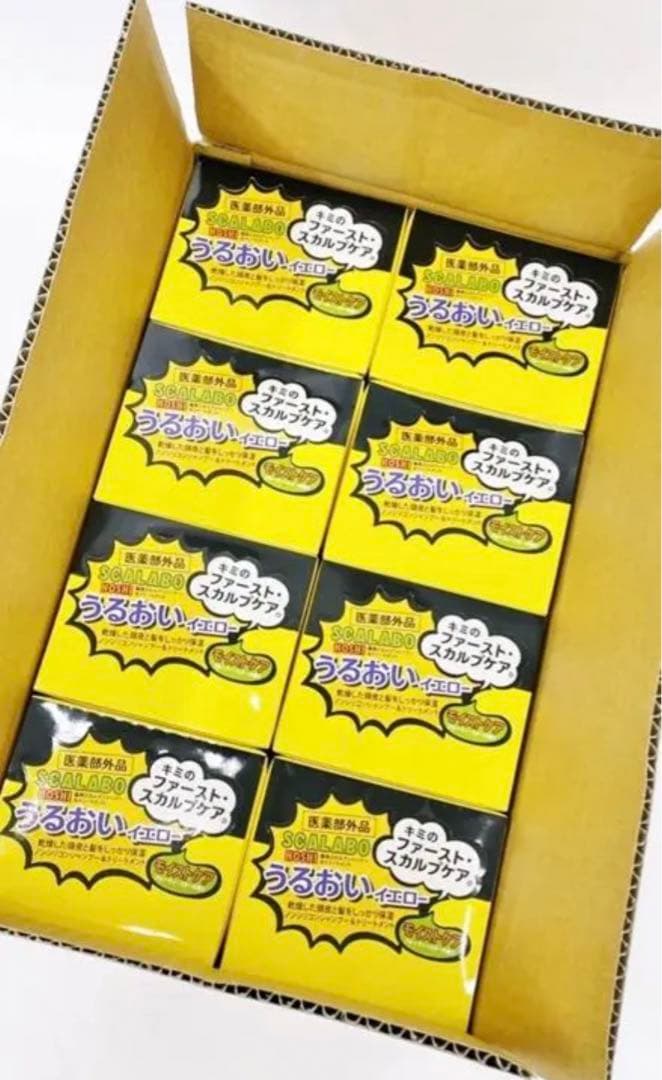 D-1 未使用 5箱 SCALABO スカラボ イエロー トライアルセット
