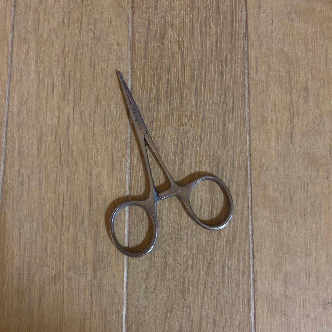 アッツくんです。