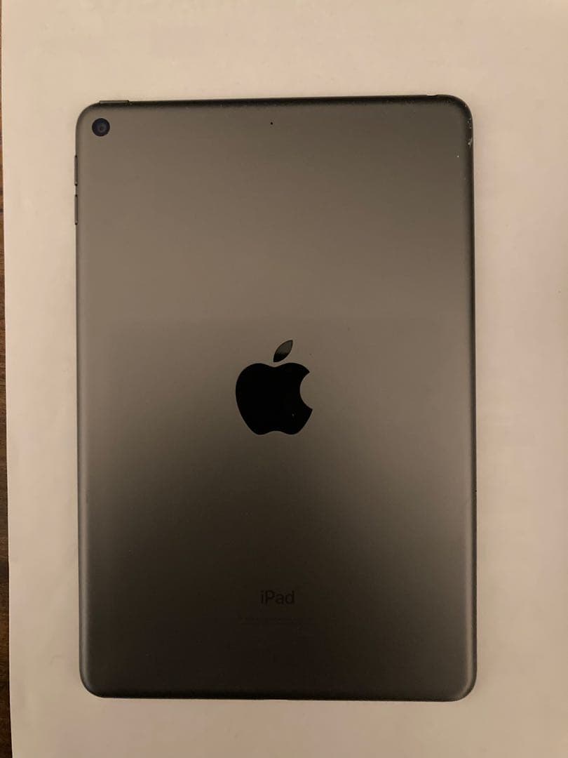 iPad mini 第5世代 64GB Wi-Fi 画面不良（縦線あり）動作OK