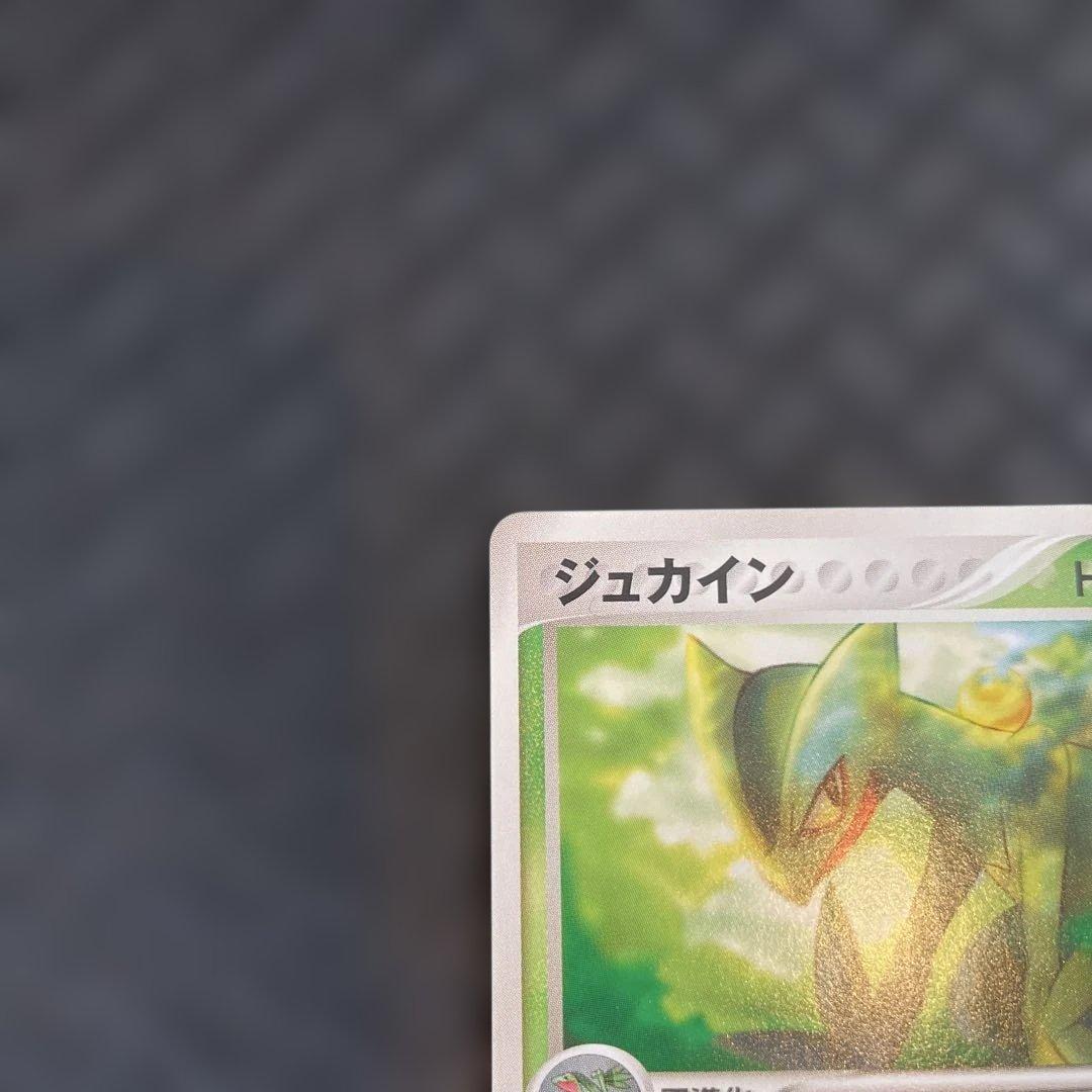 【極美品！】ジュカイン PROMO PCG-Pプロモカード 119/PCG-P
