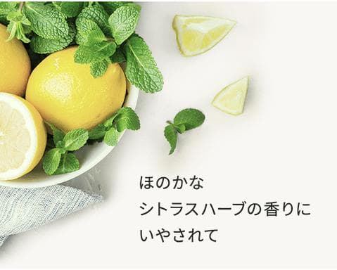 ☆ 期間限定 ☆ 　三省製薬 デルメッド プレミアムローション ３本セット