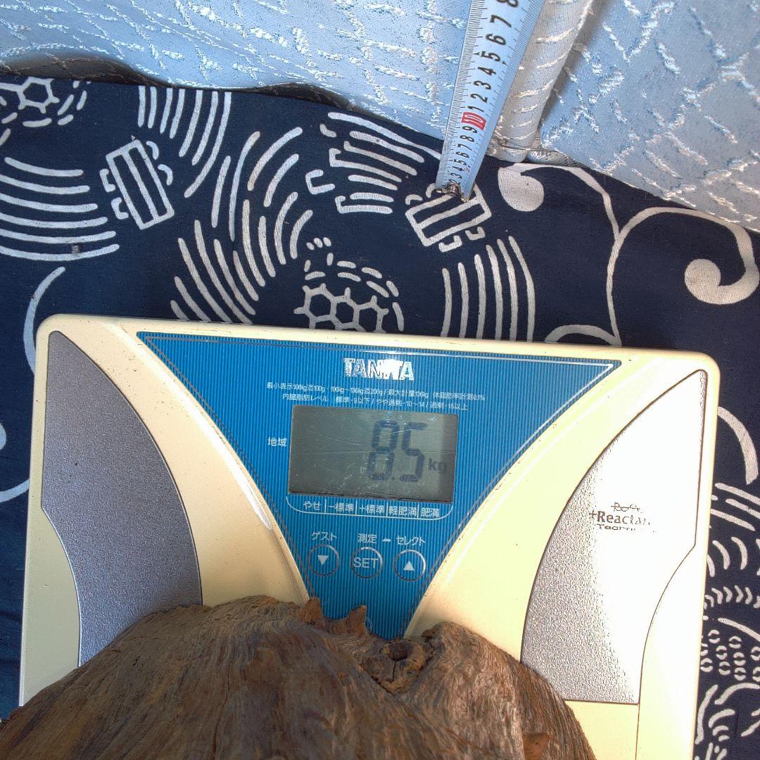 骨董９ 黒檀？ ひび割れあります注意