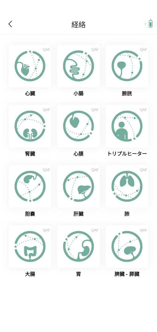 【定価584,800円】新品未開封マグヒーリープロフェッショナル経路モジュール付