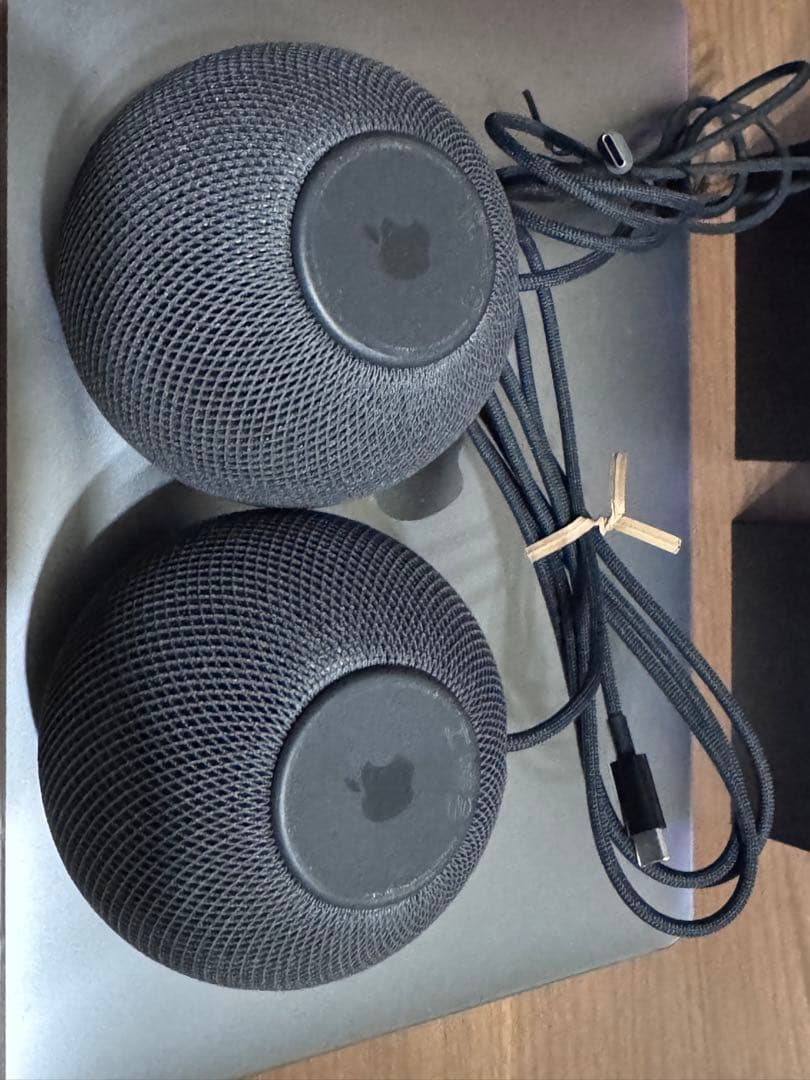 Apple Pod mini スペースグレイ2個セット
