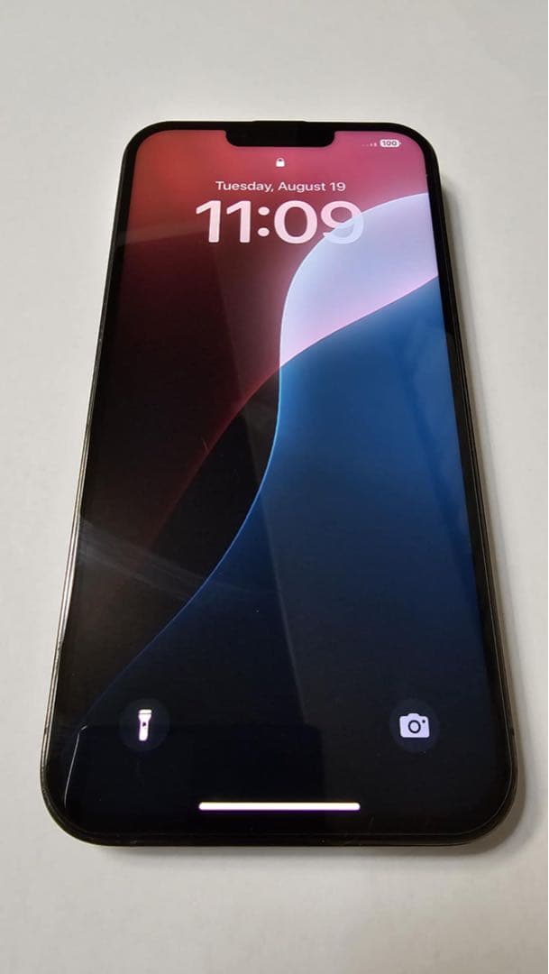 【ジャンク】Apple iPhone 13 Pro Max