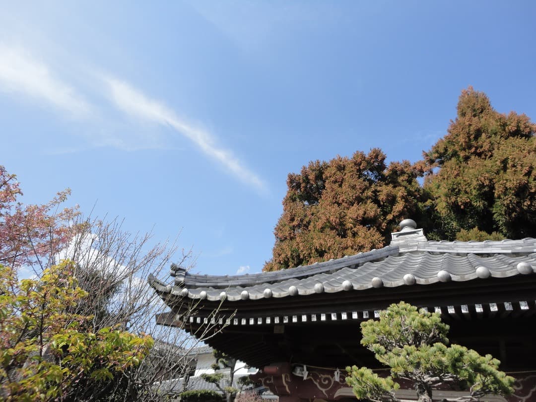 実写美⭕️【動作確認済】 SONY CyberShot DSC-W380 ピンク
