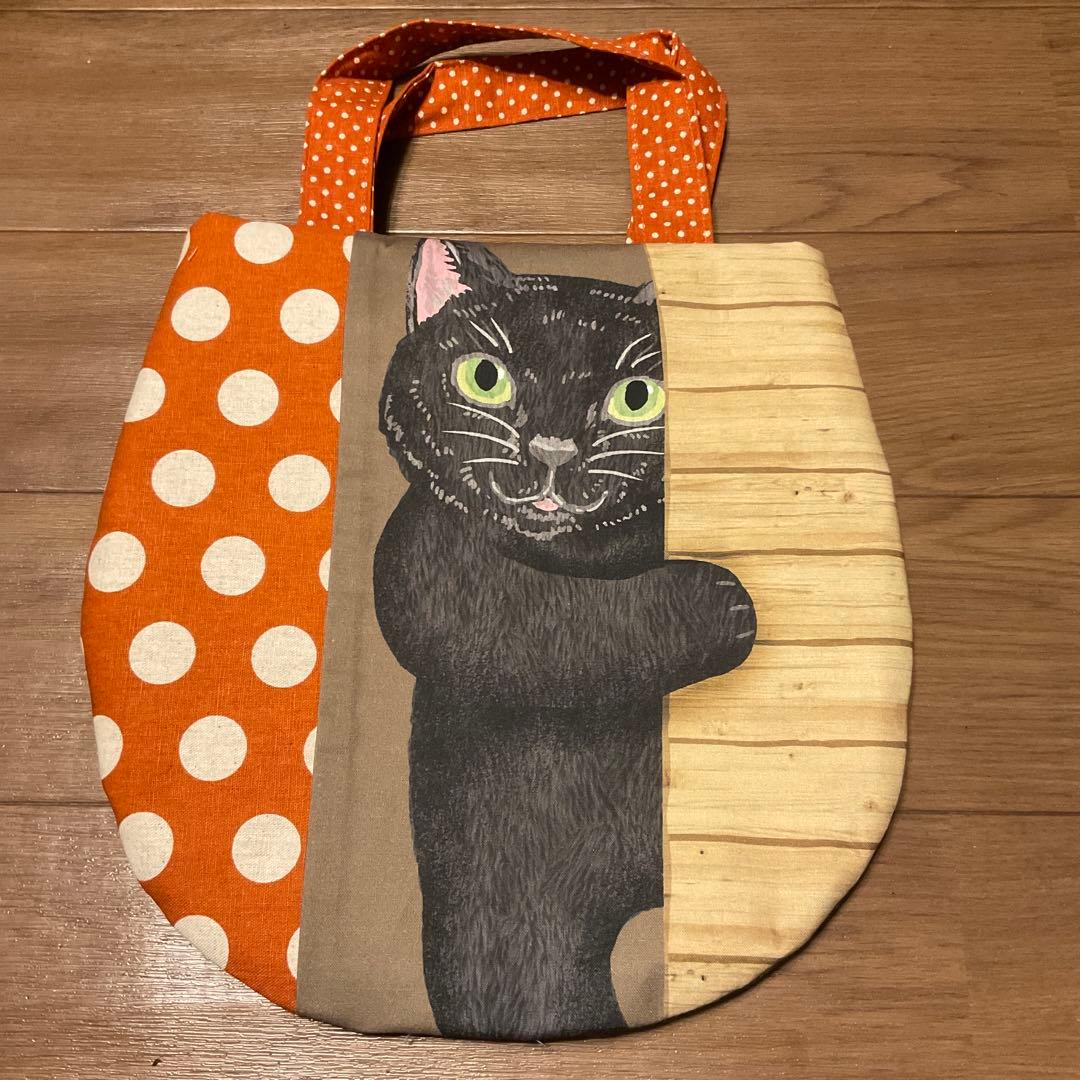 キラキラ⭐️　ひょっこりねこ①