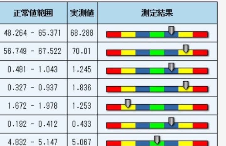 PCセットアップ付量子アナライザー　波動測定器　簡易版　280項目　健康チェック
