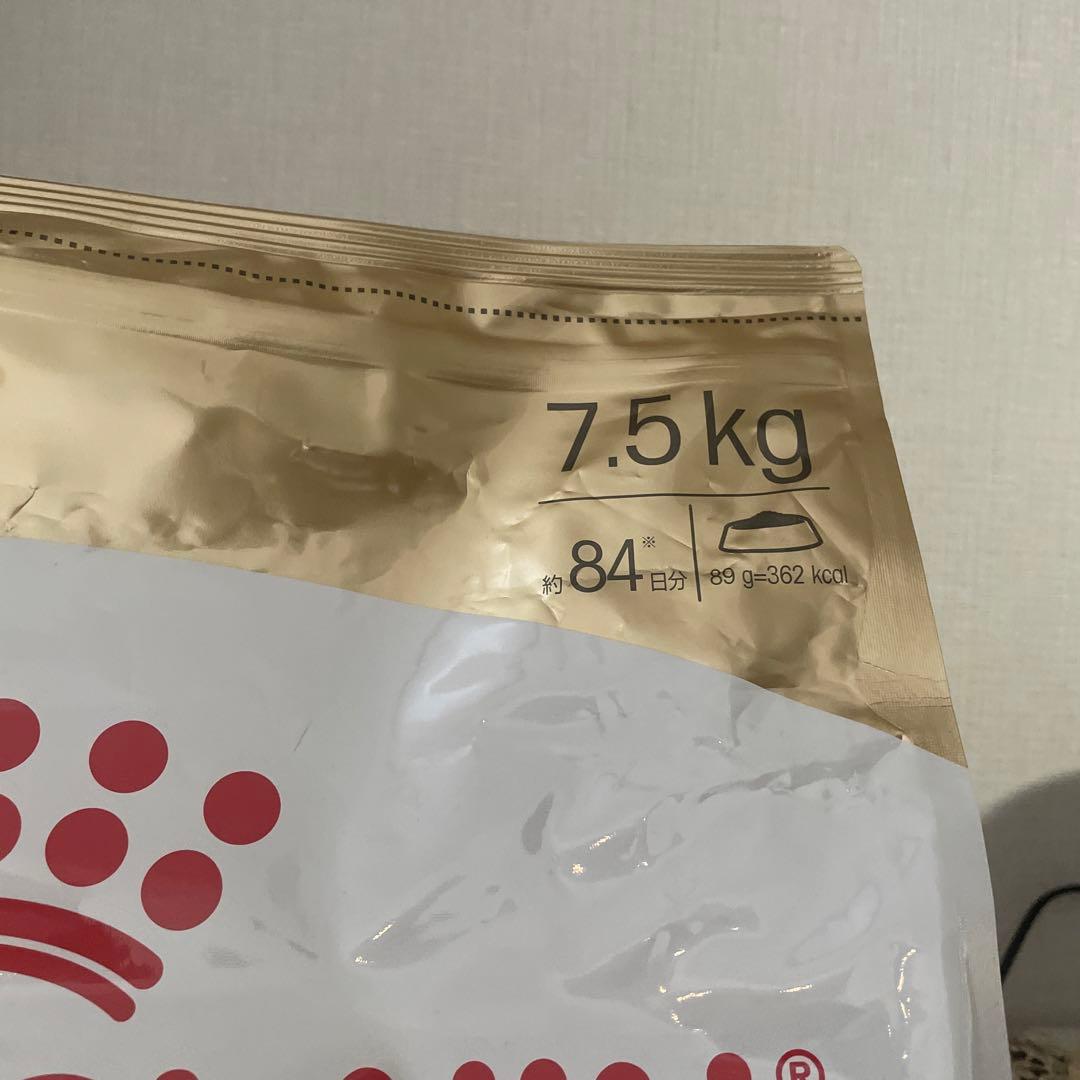  CANIN プードル 7.5kg