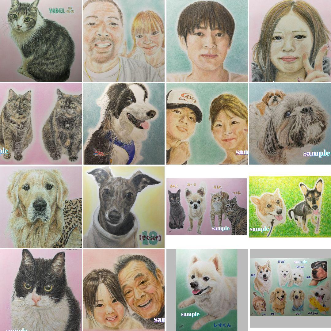 色鉛筆画✭愛猫愛犬✭ペット似顔絵　肖像画　イラスト　注文オーダー　受付ページ 2