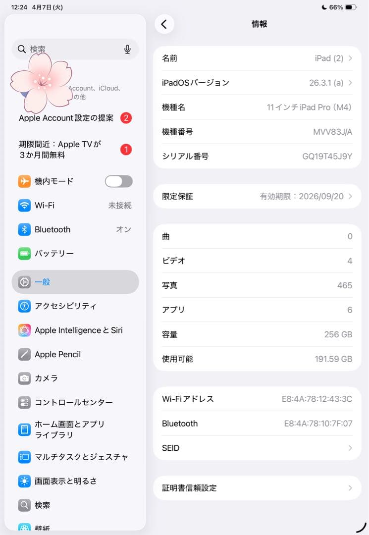 Apple 11インチ iPad pro （M4） Wi-Fiモデル ケース付き