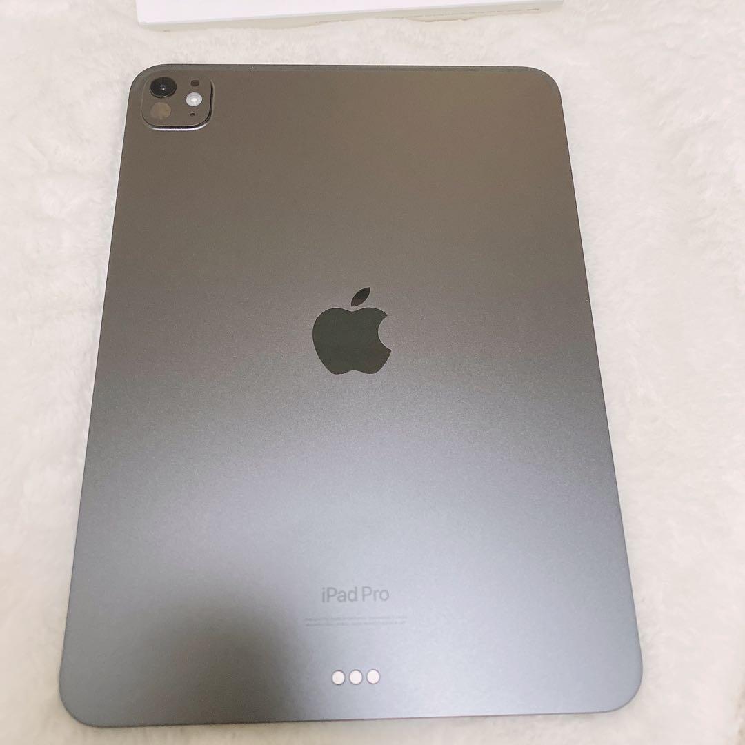 Apple 11インチ iPad pro （M4） Wi-Fiモデル ケース付き