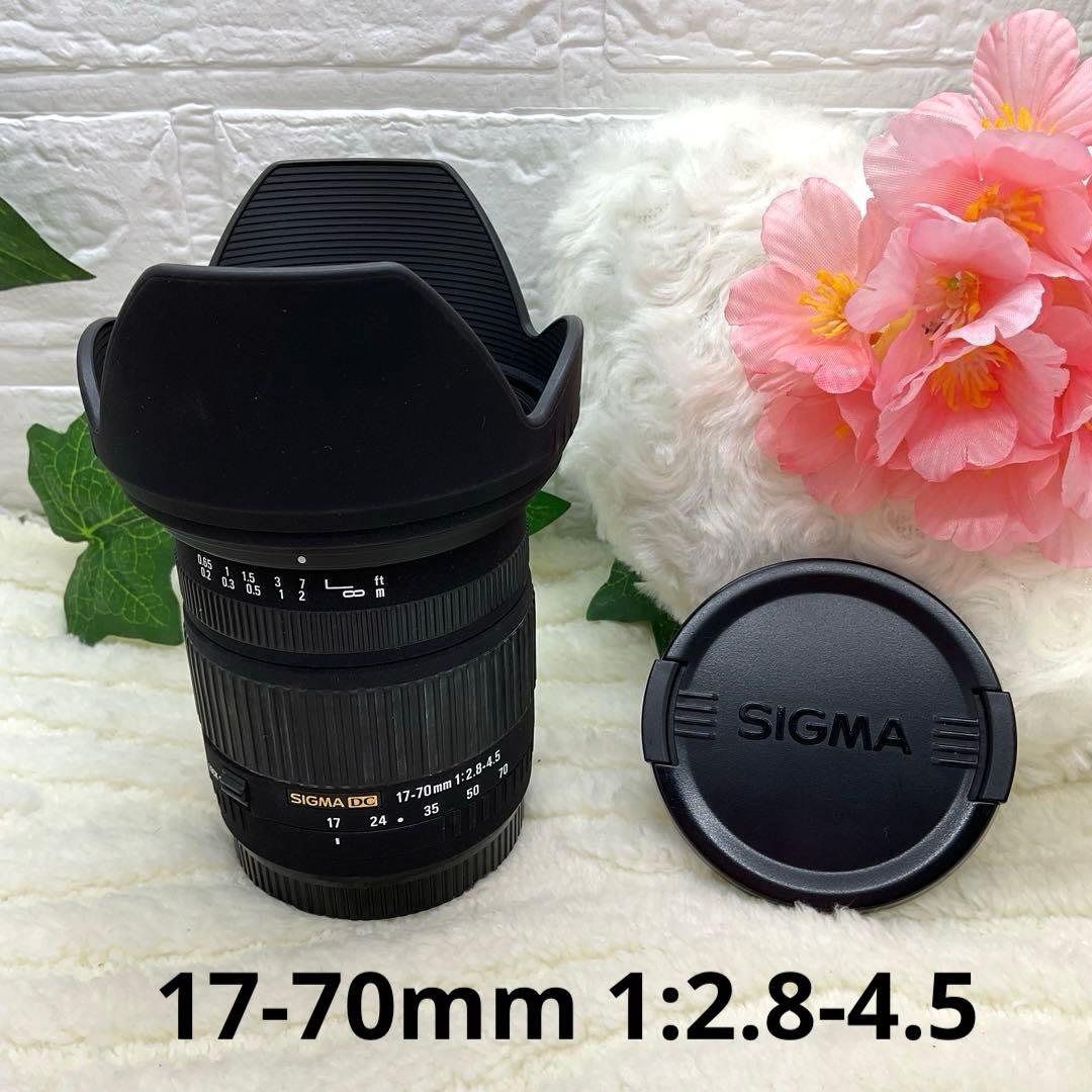 美品 SIGMA DC 17-70mm 1:2.8-4.5 Canonキャノン用