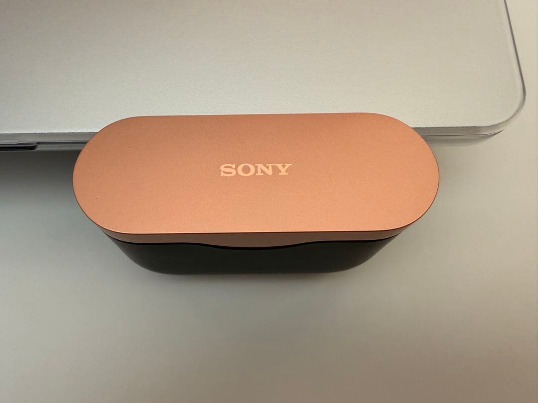 SONY WF-1000XM3 ワイヤレスノイズキャンセリングイヤホン(箱付き)
