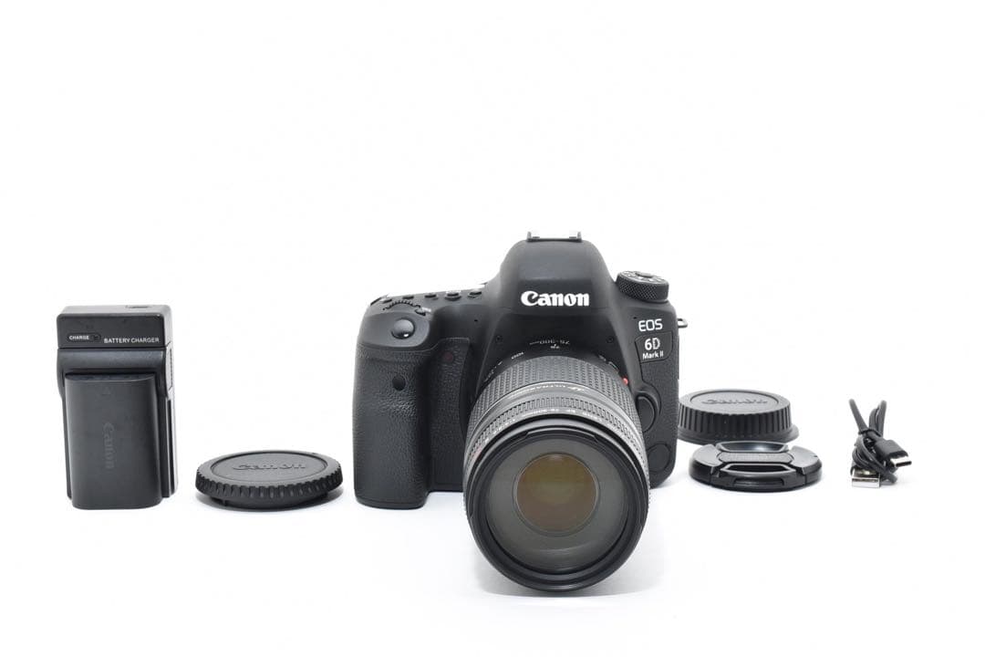 Canon EOS 6D Mark II / Canon EF 75-300㎜