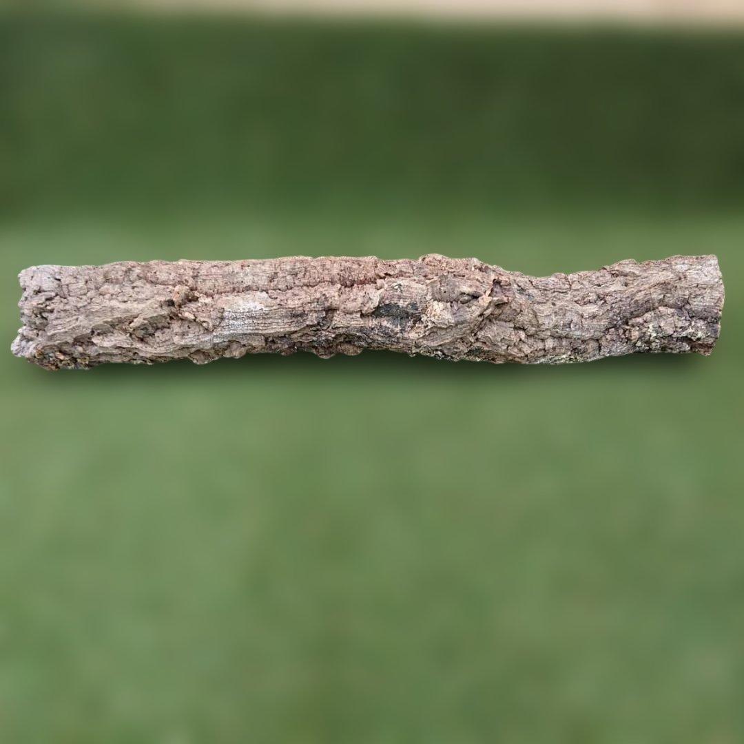 コルク樹皮　ポルトガル産　 筒状　約80cmｘ約9cm　爬虫類　シェルター