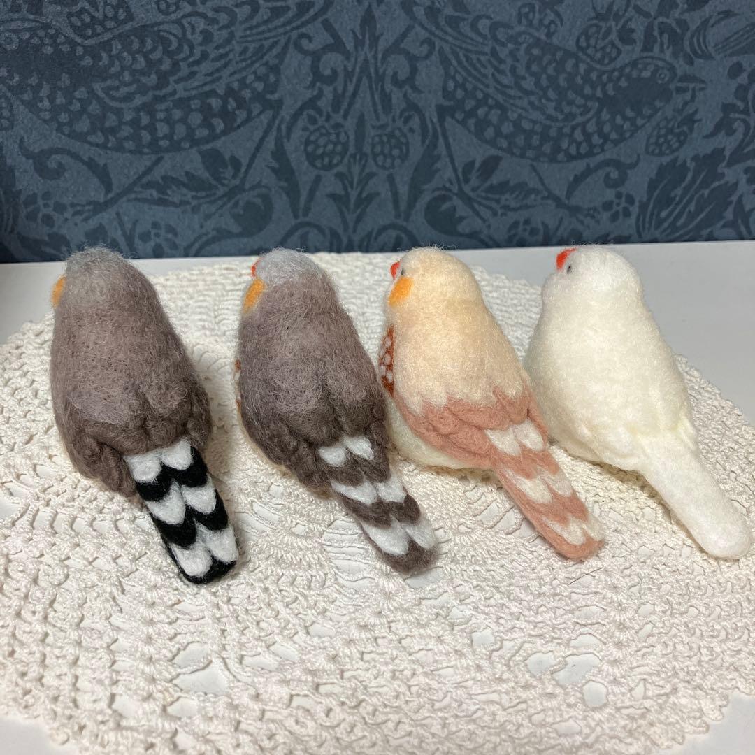 キンカチョウ☆錦華鳥☆実物大☆4点セット