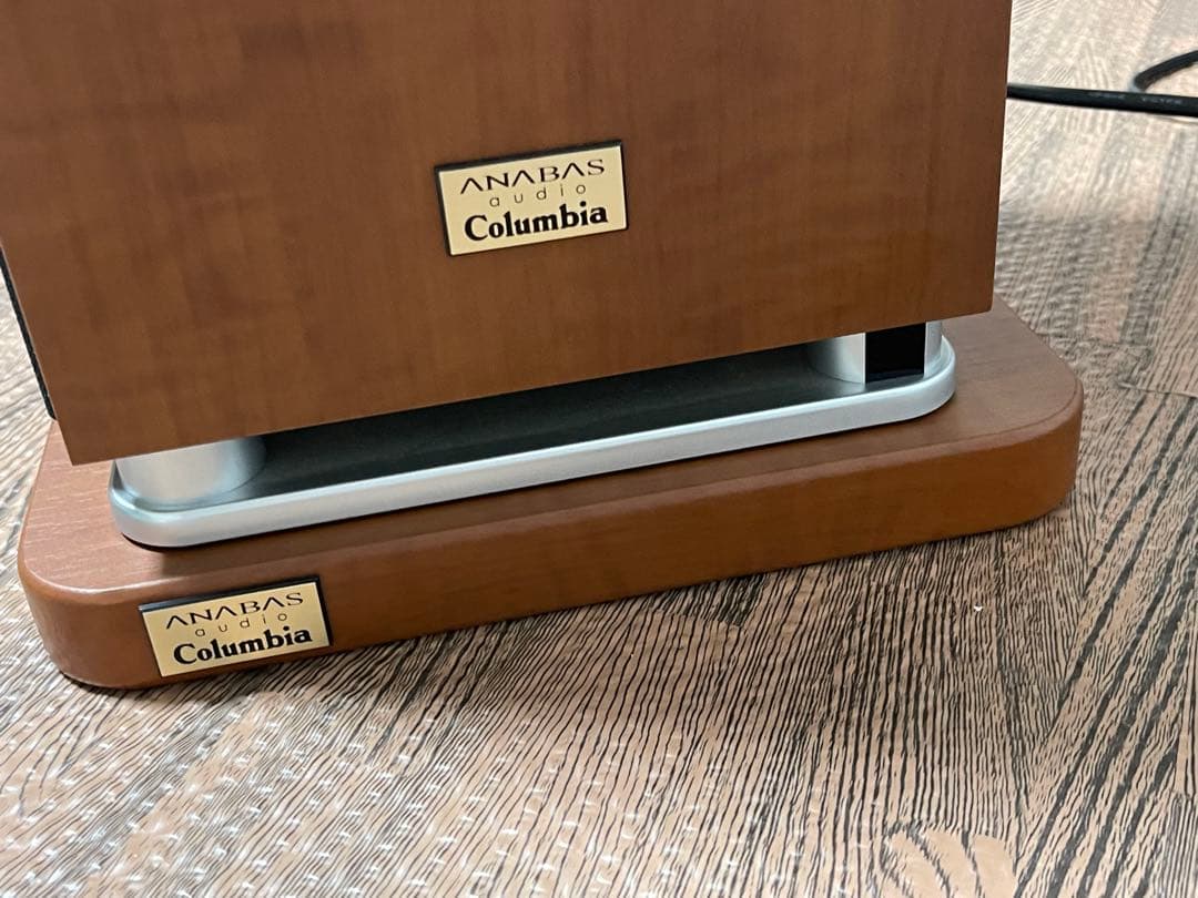 コロンビアANABAS audio Columbia NCA-100 アナバス