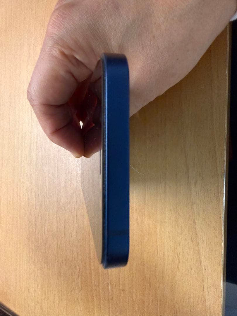 【希少/完動品】iPhone 12 256GB 物理Dual SIM 中国版