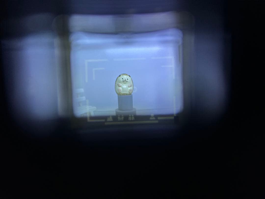 Nikon ニコン L35AD2 ピカイチ 動作品 コンパクトフィルムカメラ