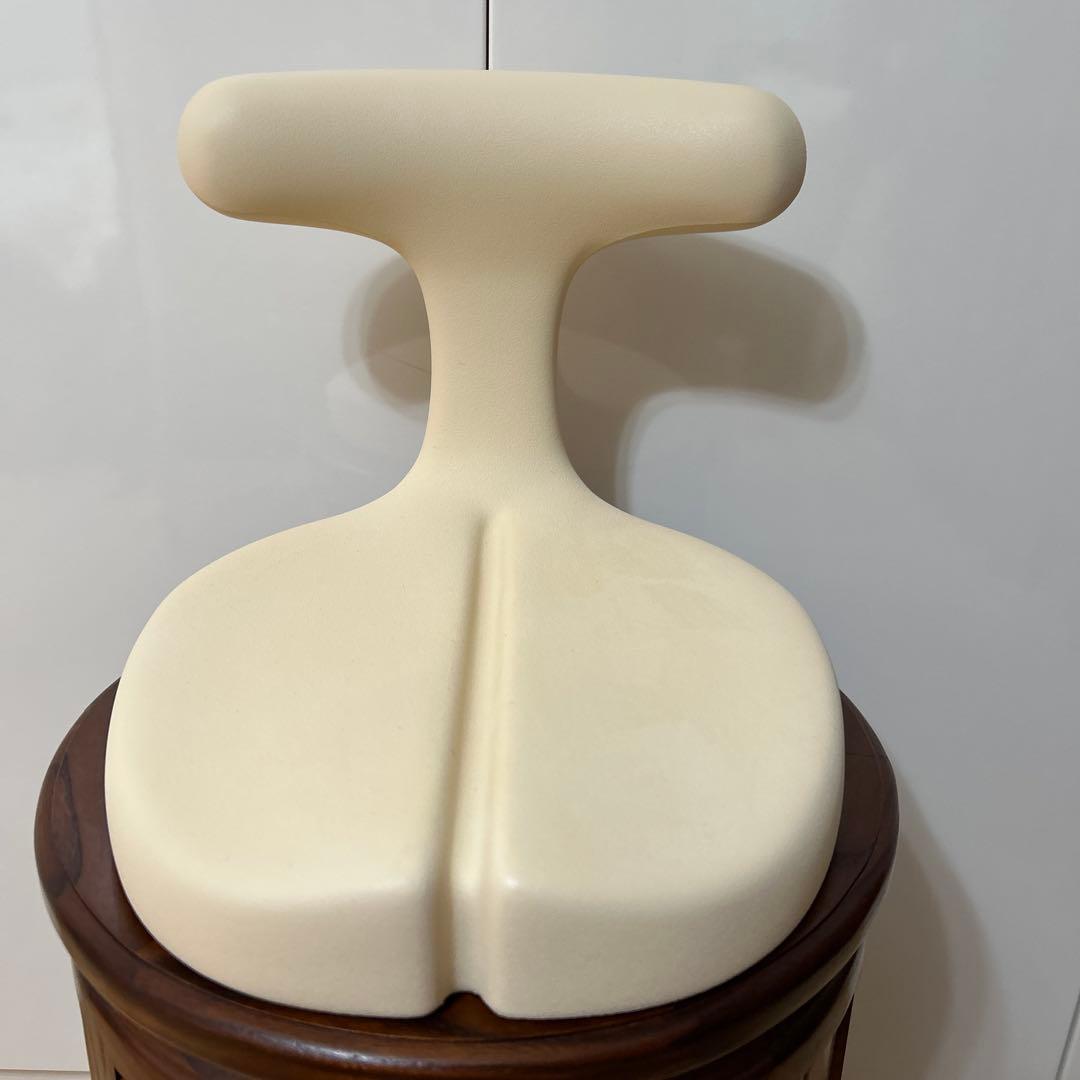Ayur Medical Seat アーユル・メディカルシートと体圧分散マット