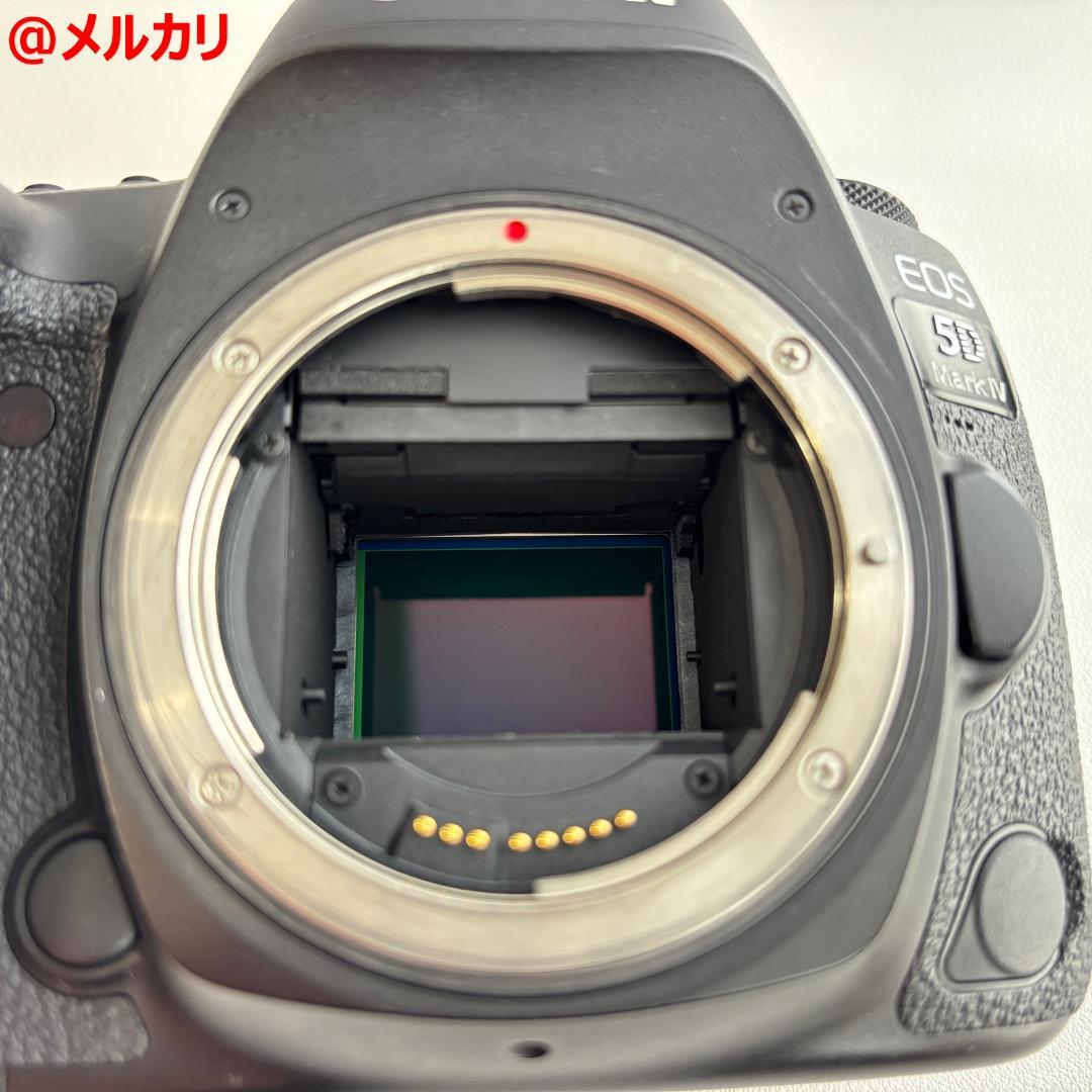 CANON EOS 5D Mark IV ボディ 一眼レフカメラ