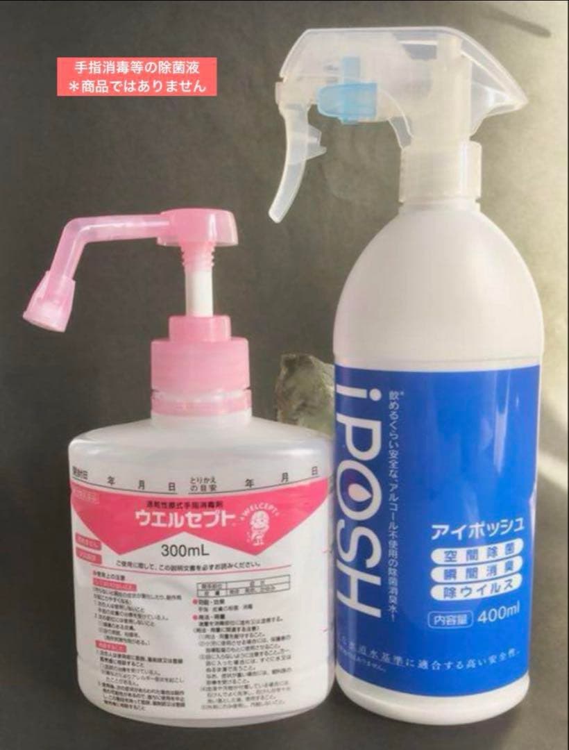 【神水浄化済み！】　水草黒朱砂　如意鈎天珠　単品