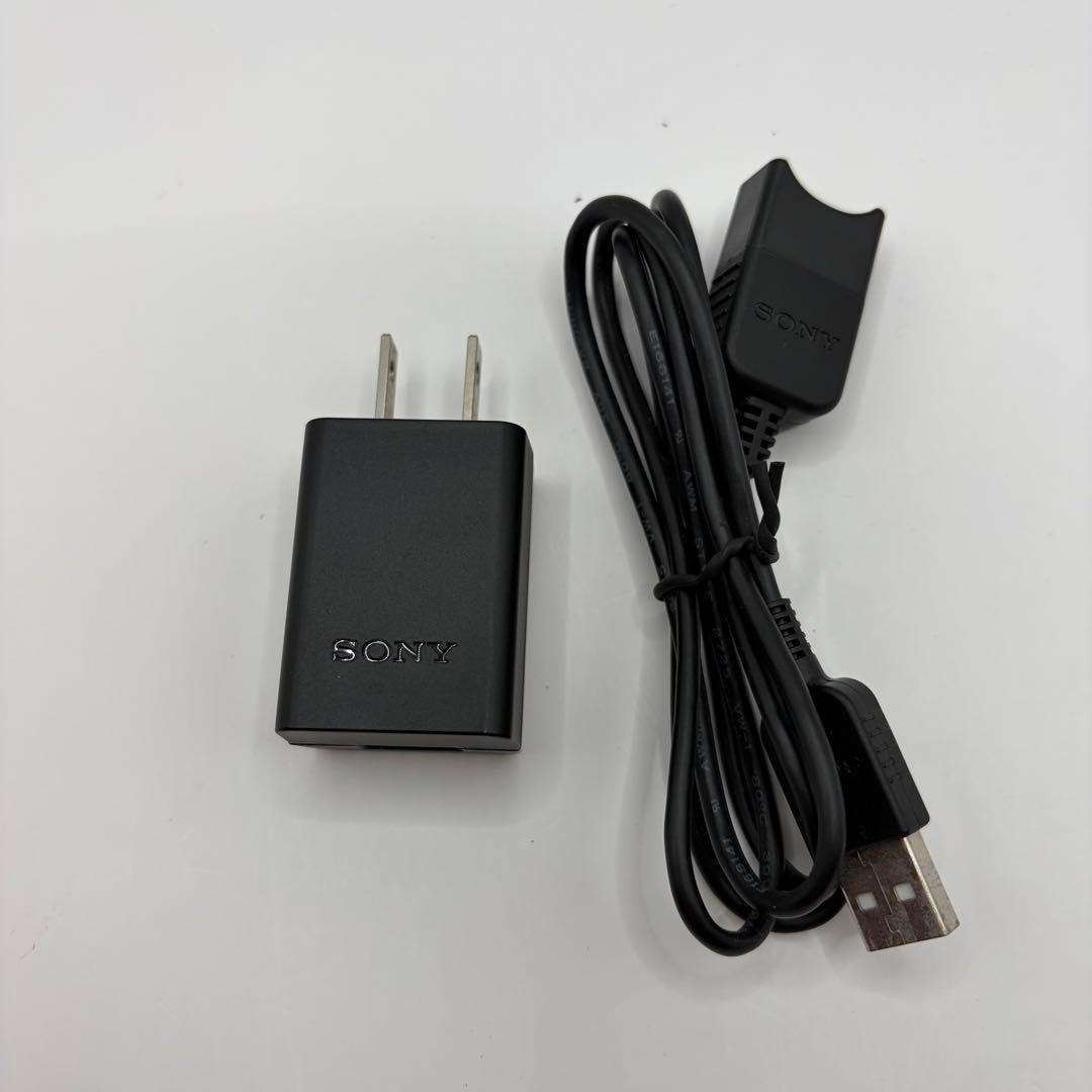 【動作品】SONY HDR-CX420 ハンディカム デジタルビデオカメラ
