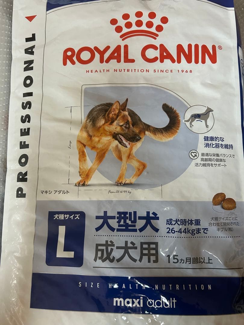 マー坊