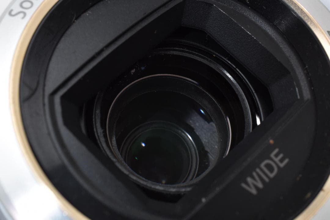 SONY ソニー HDR-CX390 デジタルビデオカメラ ハンディカム