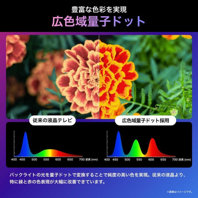ハイセンス 液晶テレビ U8Nシリーズ 75V型 /75U8N