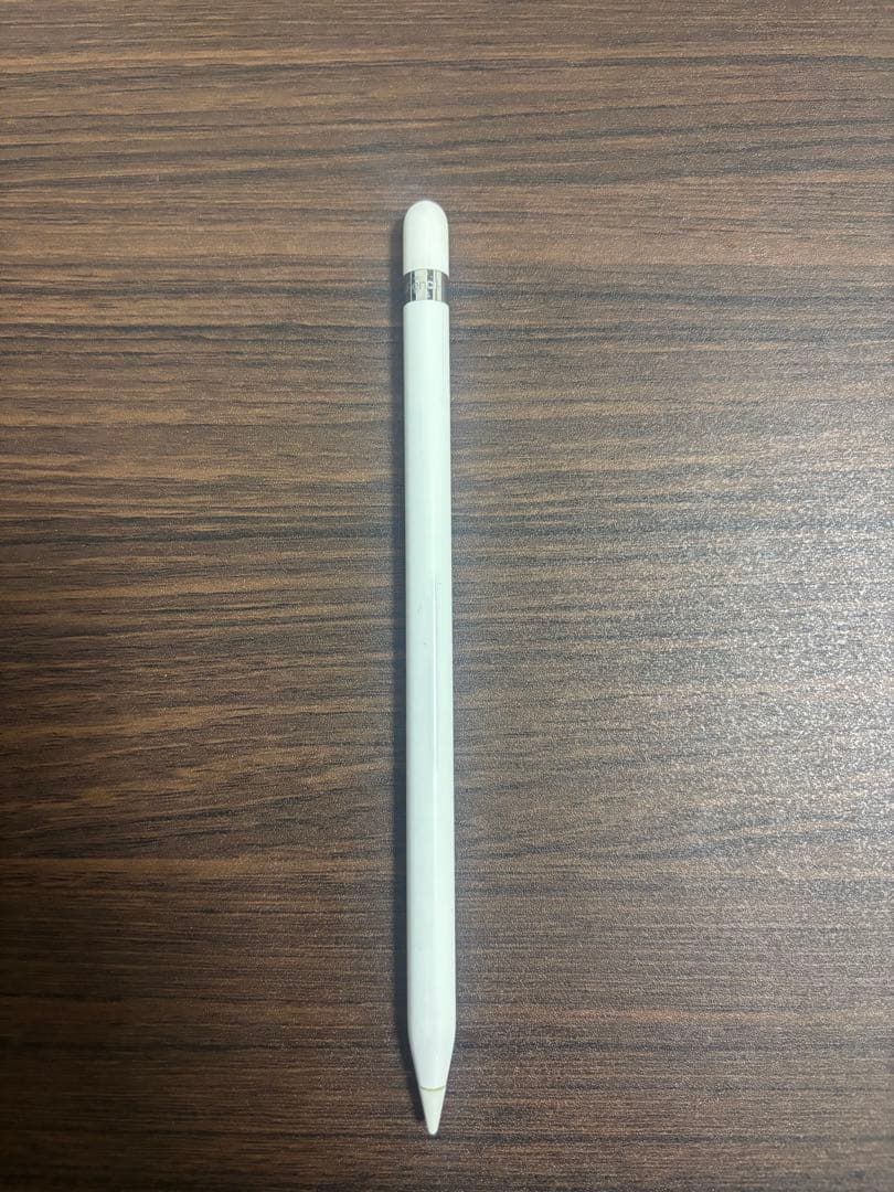 Apple iPad 第7世代 128GB (A2197/Wi-Fi) おまけ有