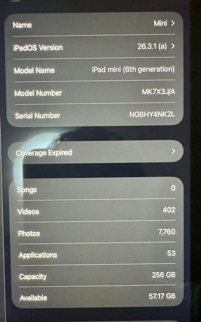 iPad mini (第6世代) 256GB Wi-Fi
