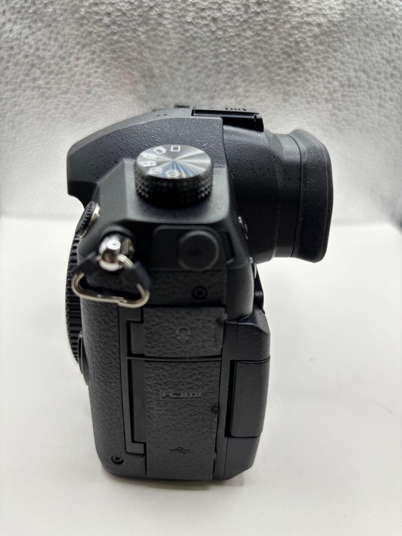 シャッター回数63回 LUMIX GH5アップグレード済み　ほぼ新品