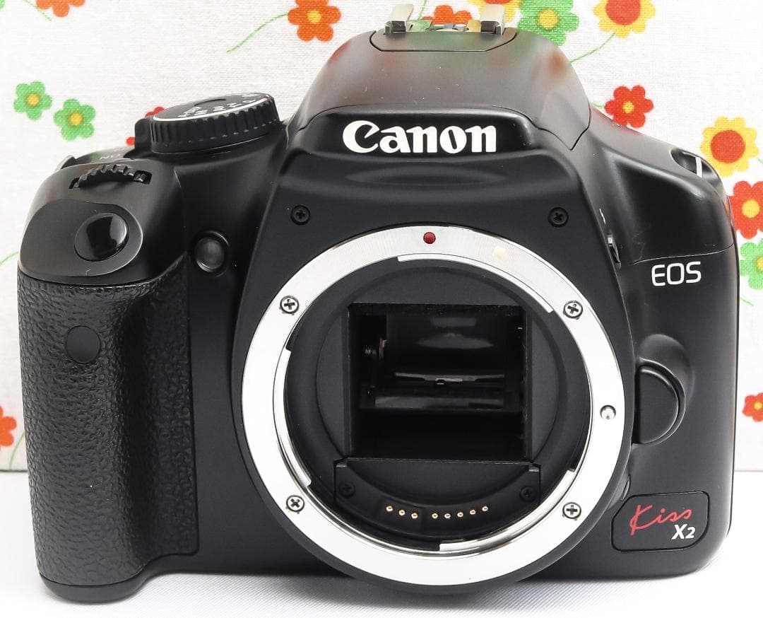 キャノン Canon kiss x2☆スマホに転送☆お手軽一眼レフ♪