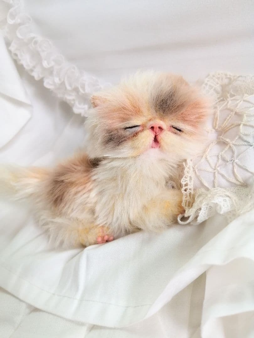 ふにゃっくた♡おねんね子猫ちゃん♡アートドール♡ぬいぐるみ♡
