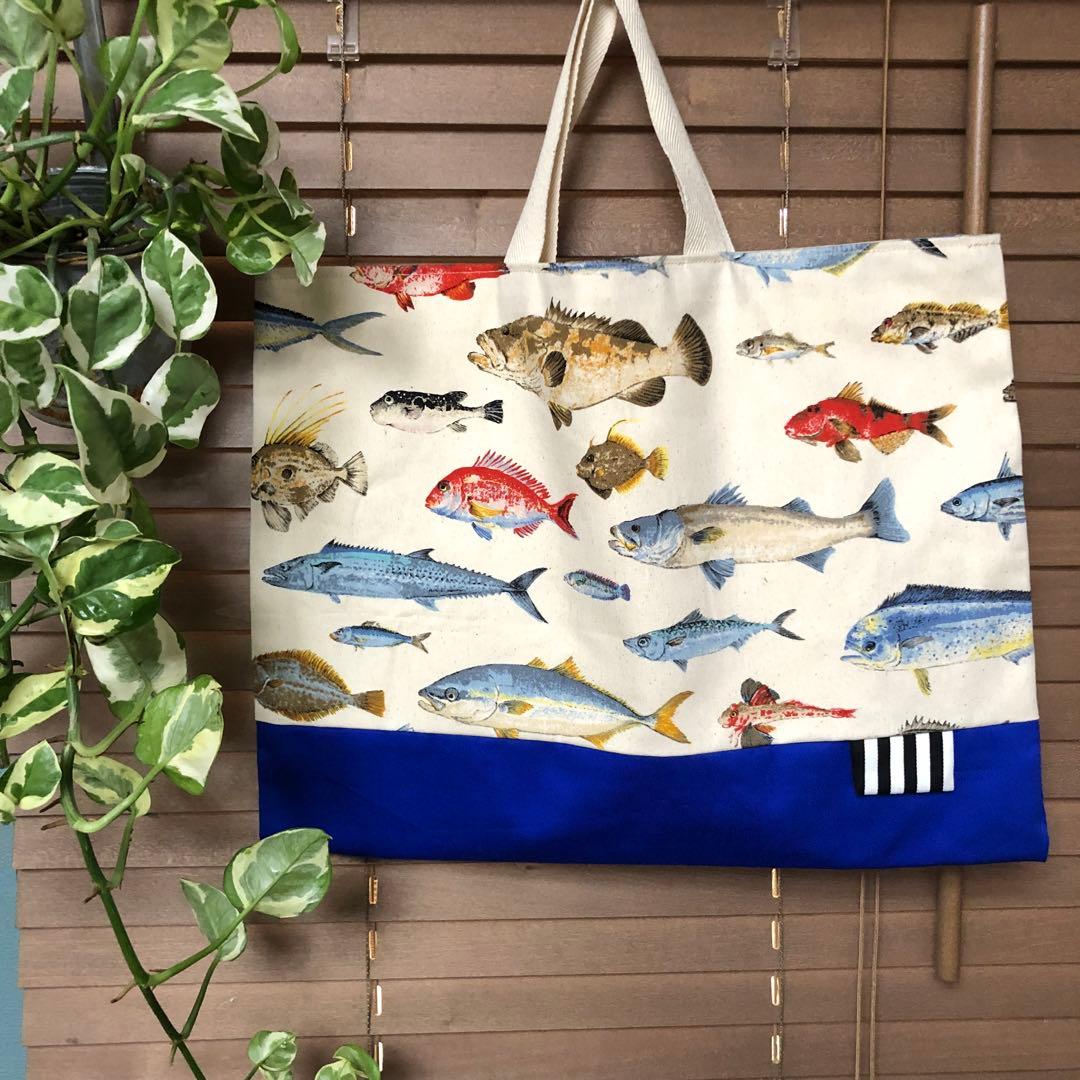 お魚　入園入学　お得な5点セット　幼稚園　保育園　小学生　男の子　かっこいい