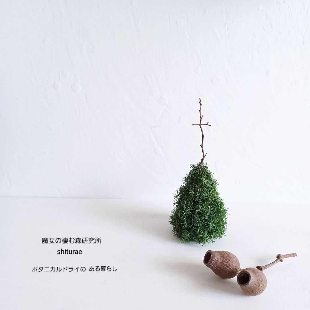 【魔女の棲む森 ～雪の日の花畑～】ドライフラワー リース クリスマスリース