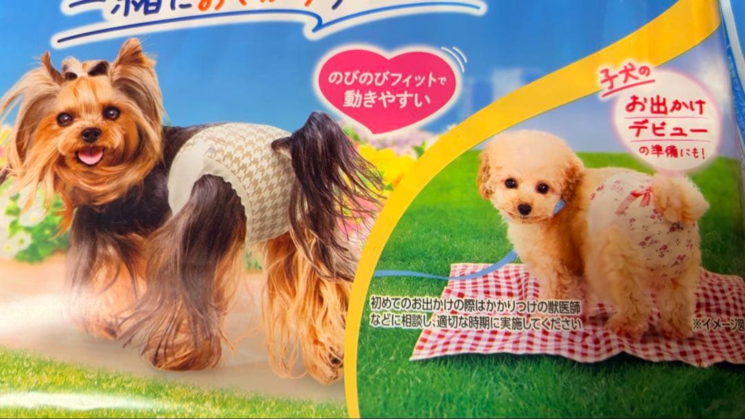 ユニチャーム マナーウェア 女の子 SSSS 42枚入り