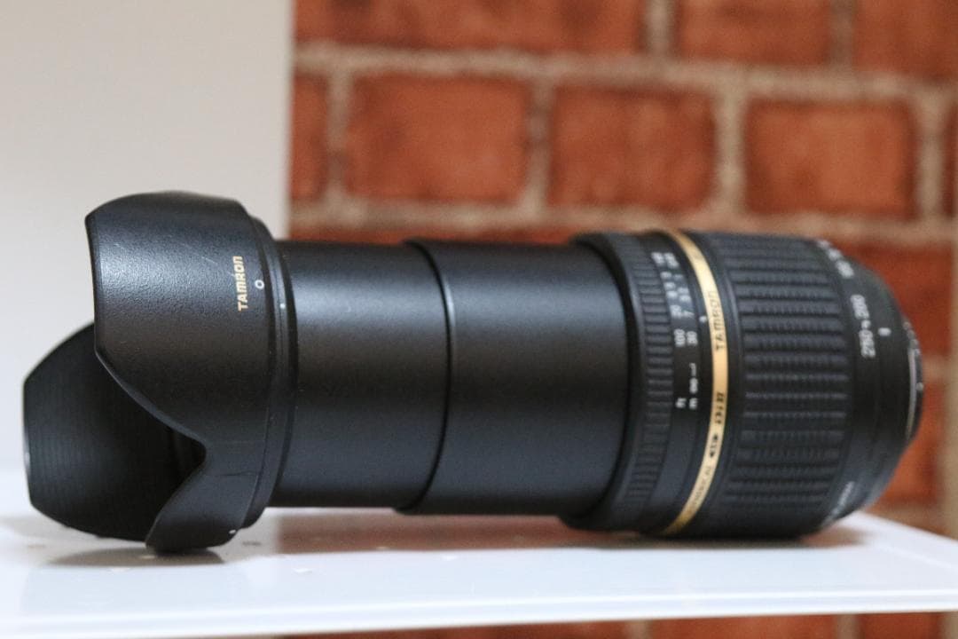 【高倍率ズーム付】Nikon D300＋TAMRON18-250mm