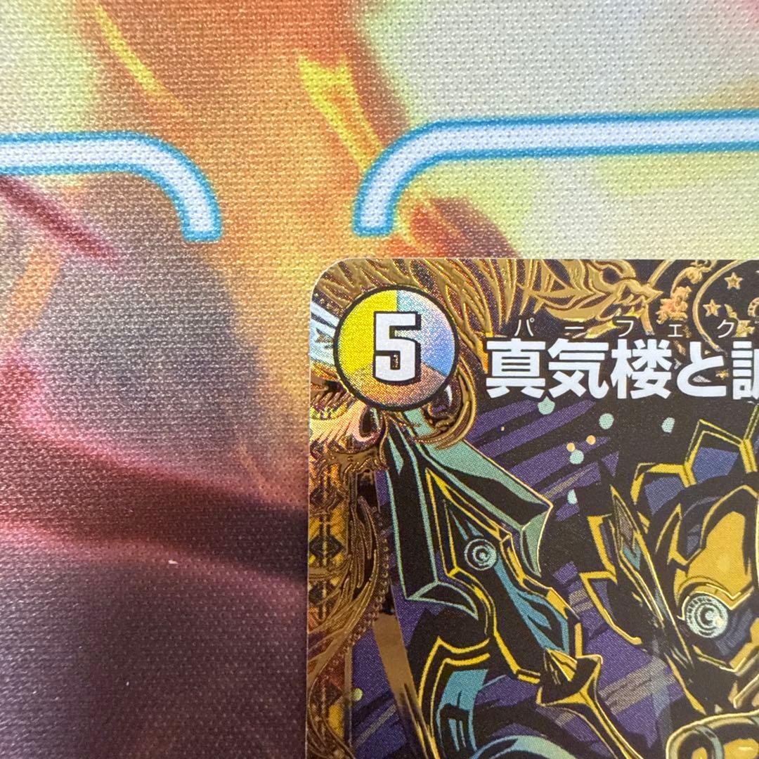 ホ*様 真気楼と誠偽感の決断 パーフェクトペテンシー シークレット