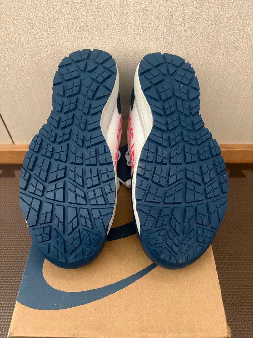 asics CP 603 GORE-TEX ゴアテックス 安全靴 26.0cm