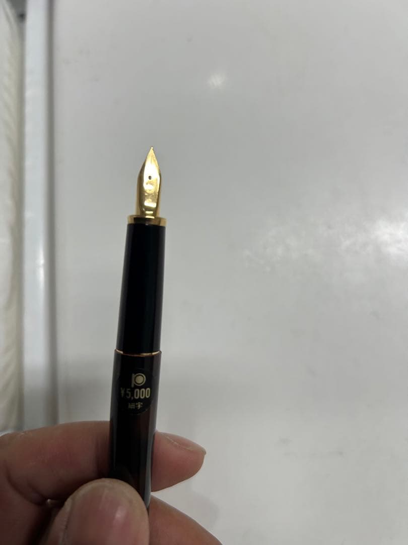 プラチナ万年筆10本セット新品