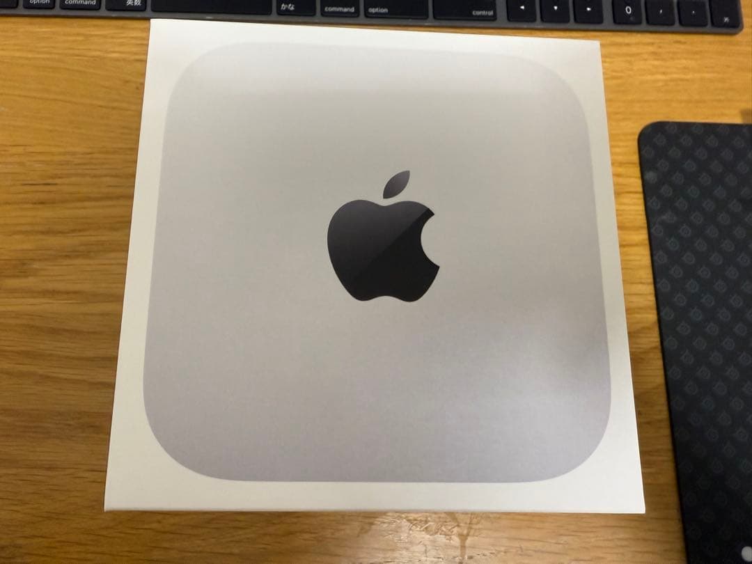 Mac mini m4 万兆 10 GbE 極美品