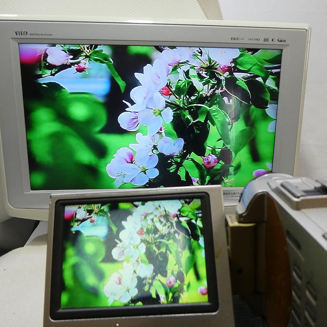 動作品 ソニー DCR-TRV10 MiniDVビデオカメラ　DVD化に最適