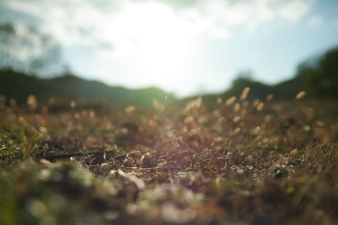 希少　SIGMA 24-60mm f/2.8 EX DG SAマウント シグマ用