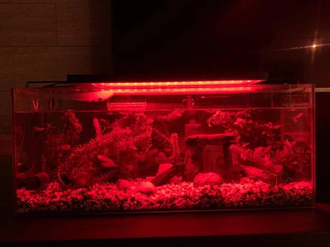 SUNSET　LED水槽アクアリウムライト 45～60cmと30～45cm