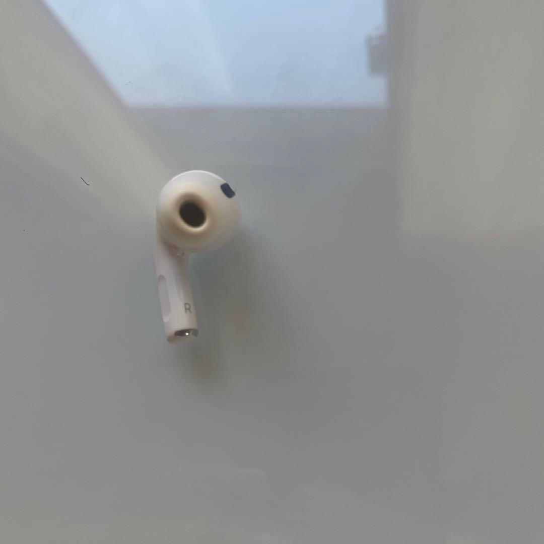 Apple AirPods Pro エアポッツ A2190 第1世代