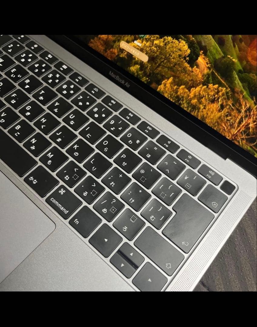 MacBook本体 シルバー