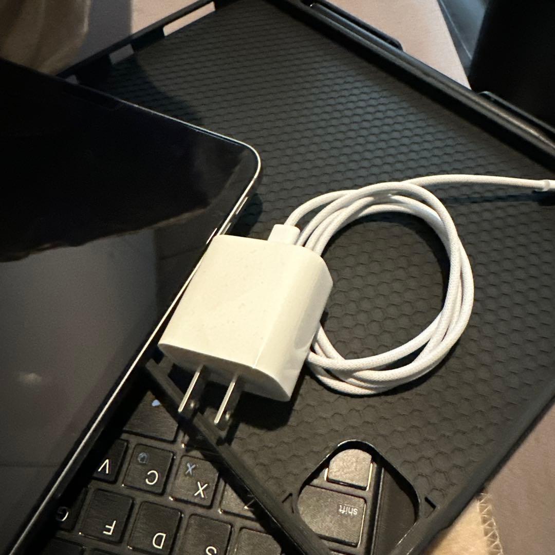 iPad Pro 11インチ（第4世代）wi-fi256GB M2